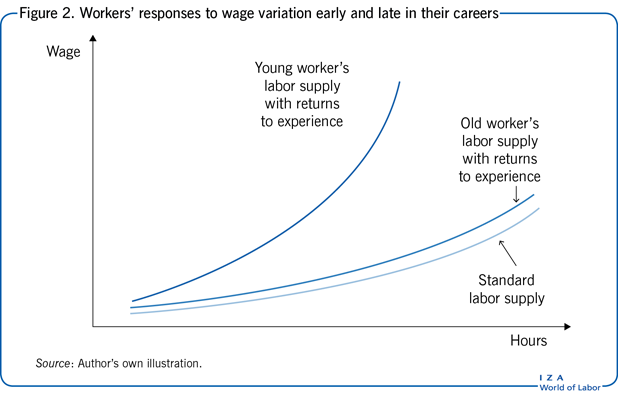 工人在职业生涯早期和晚期对工资变化的反应