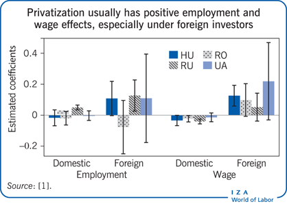 私有化通常对就业和工资有积极影响，特别是在外国投资者的统治下